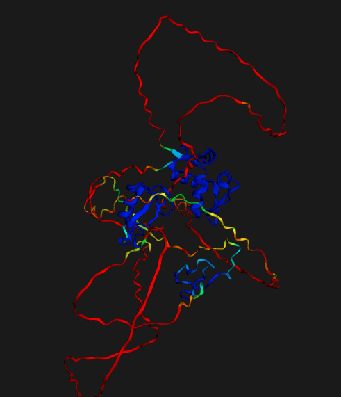 AlphaFold predicted protein structure, ribbon diagram colored by pLDDT confidence